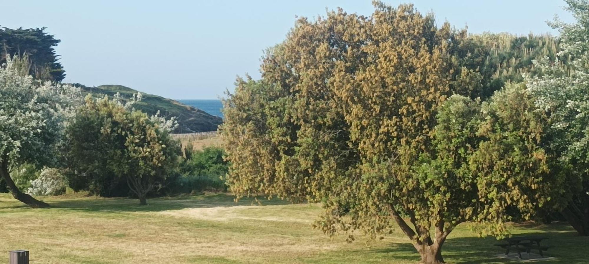 Appartement Vue Mer Exceptionnelle A 100M Tres Belle Plage Saint-Gildas-de-Rhuys Dış mekan fotoğraf